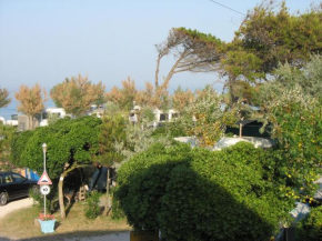 Camping La Pineta Porto Recanati